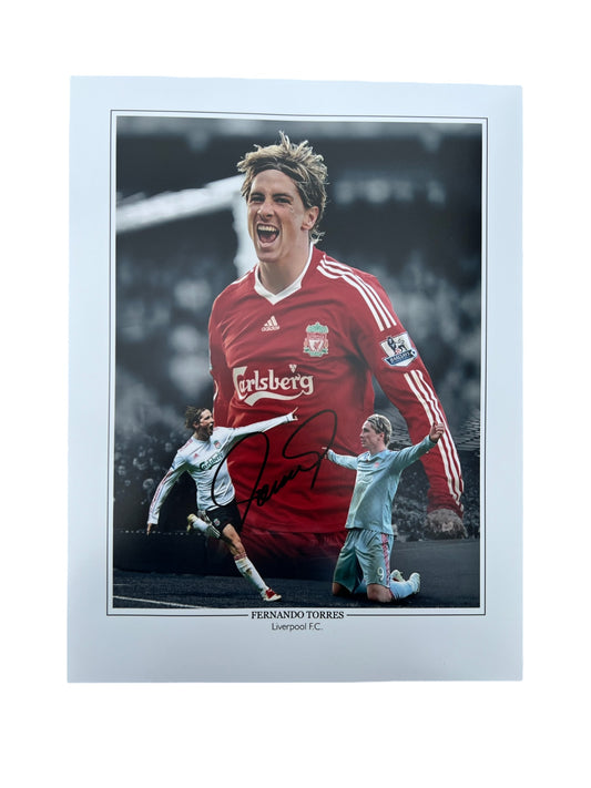 Fernando Torres signed 16x12 Montage