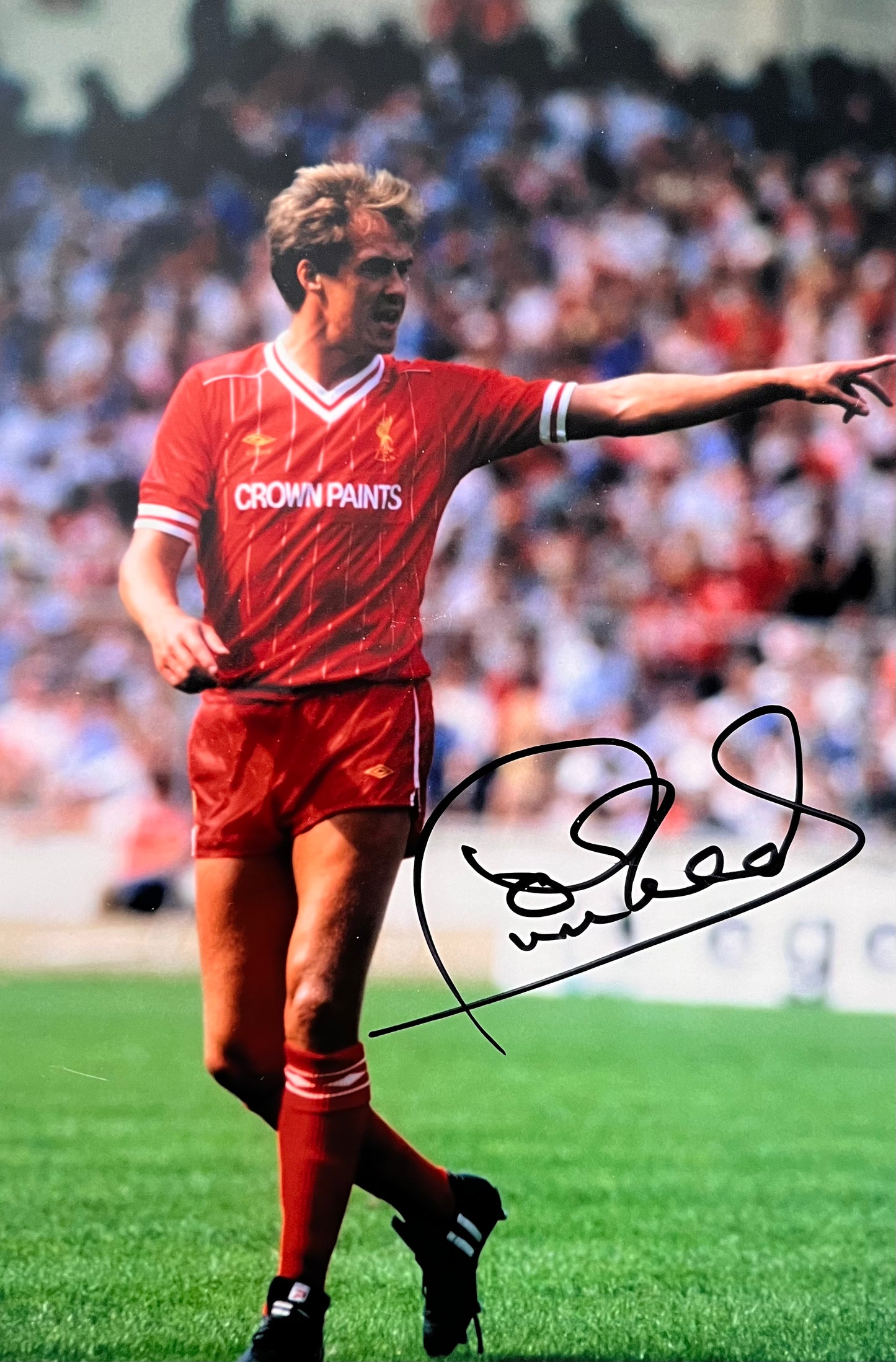 Phil Neal signed 12x8 image