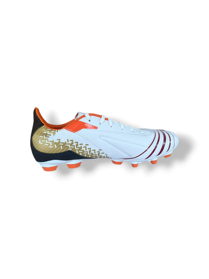 Francesco Totti Hand signed Diadora Boot