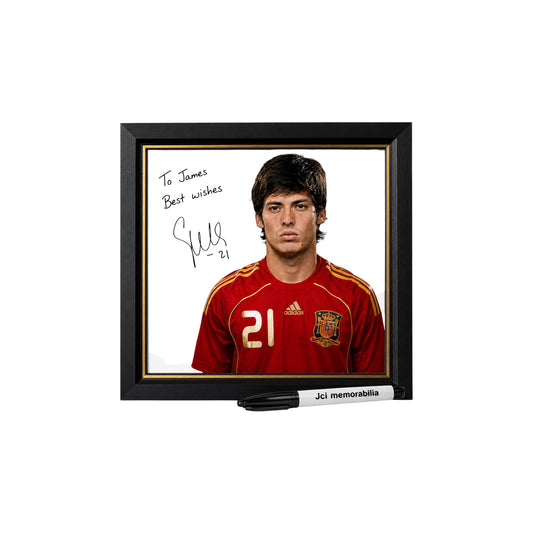 David Silva Send in - Dedication