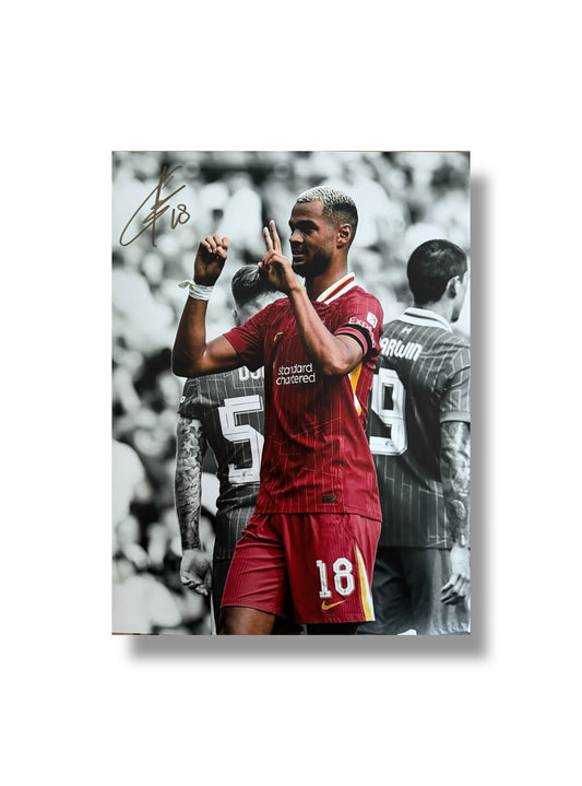 Coady Gakpo hand signed 16x12 image