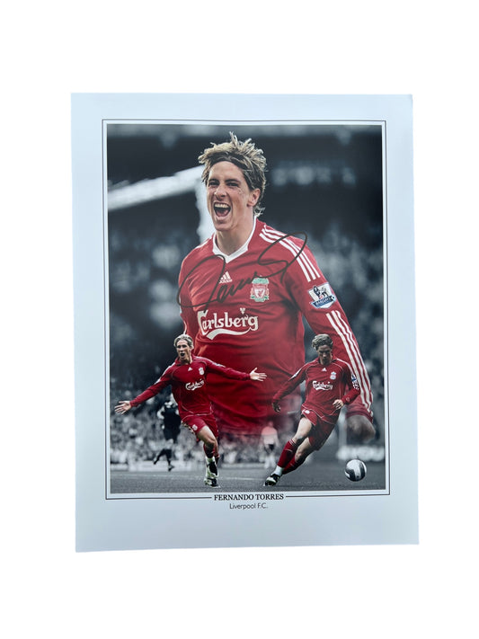 Fernando Torres signed 16x12 Montage