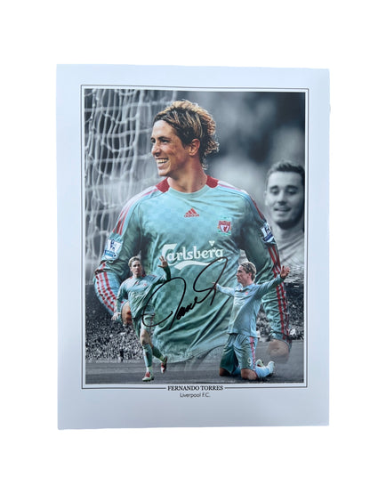 Fernando Torres signed 16x12 Montage